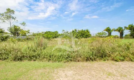 Terreno Terreno limpo à venda com piscina, 0 quarto(s),  sendo 0 suíte(s)  no bairro Bougainville Residencial V, 3000 metros da praia, Peruíbe-SP