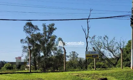 Terreno à Venda por R$850.000,00 - Passo da Caveira - Gravataí, RS
