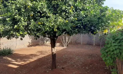 Casa com 4 quartos à venda no Custódio Pereira, Uberlândia 