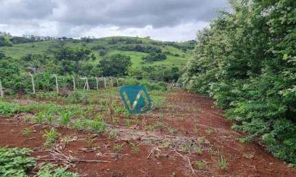 Terreno à venda, 1200 m² por R$ 95.000,00 - Limoeiro - Londrina/PR