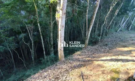Terreno à venda, 658 m² por r$ 180.000,00 - cônego - nova friburgo/rj