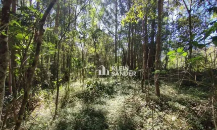 Terreno à venda, 3217 m² por R$ 415.000,00 - Cascatinha - Nova Friburgo/RJ