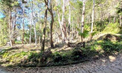 Terreno à venda, 1400 m² por R$ 150.000,00 - Lumiar - Nova Friburgo/RJ