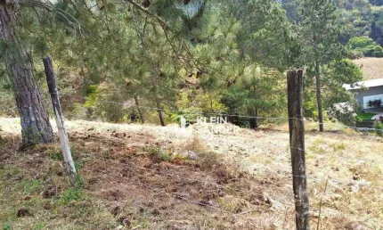 Terreno à venda, 530 m² por R$ 200.000,00 - Cascatinha - Nova Friburgo/RJ