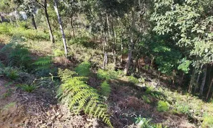 Terreno à venda, 549 m² por r$ 243.000,00 - cônego - nova friburgo/rj