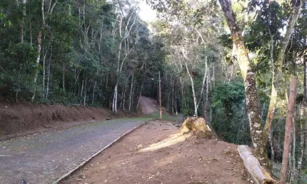 Terreno à venda, 404 m² por r$ 250.000,00 - cônego - nova friburgo/rj
