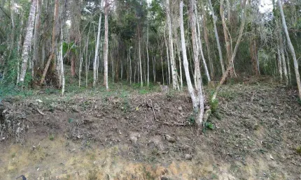 Terreno à venda, 792 m² por r$ 350.000,00 - cônego - nova friburgo/rj