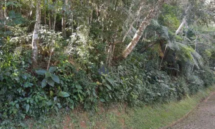 Terreno à venda, 2345 m² por R$ 320.000,00 - Mury - Nova Friburgo/RJ