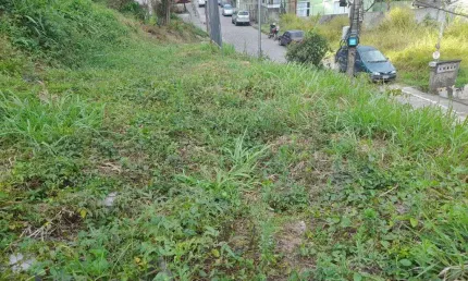 Terreno à venda, 400 m² por r$ 250.000,00 - cônego - nova friburgo/rj