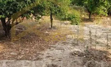 Terreno à venda, 1000 m² por r$ 480.000,00 - recreio campestre internacional viracopos ii - indaiatuba/sp