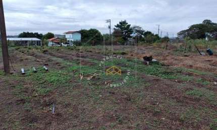 Terreno à venda, 5000 m² por R$ 550.000,00 - Campo Grande - Campinas/SP