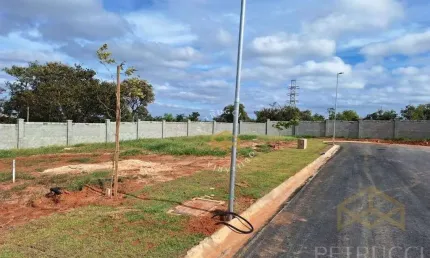Terreno à venda, 368 m² por R$ 570.000,00 - Loteamento Alphaville Campinas - Campinas/SP