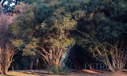 Terreno residencial à venda, tanquinho velho, jaguariúna - te2032.