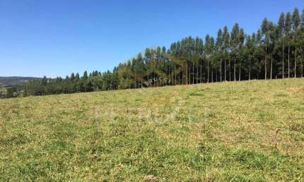 Terreno à venda, 4000 m² por R$ 2.000.000,00 - Sousas - Campinas/SP