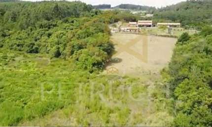 Terreno Residencial à venda, Jardim Martinelli (Sousas), Campinas - TE2187.