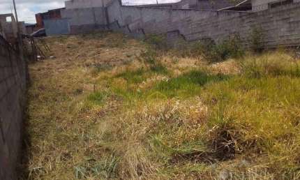 Terreno Residencial à venda, Vila Aeroporto III, Campinas - TE2343.