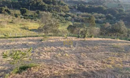 Área, 37360 m² - venda por R$ 2.500.000,00 ou aluguel por R$ 6.000,00 - Joaquim Egídio - Campinas/SP