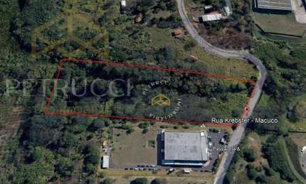 Área, 27564 m² - venda por R$ 4.500.000,00 ou aluguel por R$ 16.666,67 - Macuco - Valinhos/SP