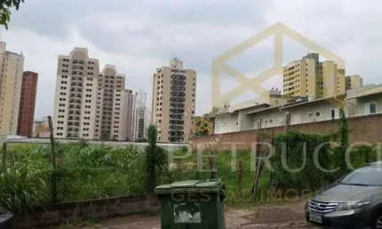 Terreno Residencial à venda, Chácara Primavera, Campinas - TE2986.
