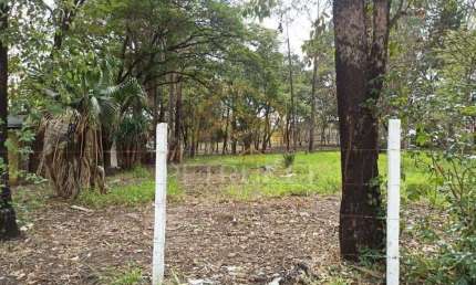 Área Comercial à venda, Jardim Planalto de Viracopos, Campinas - AR0089.