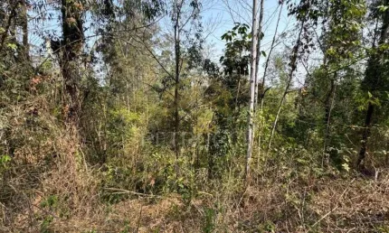 Terreno à venda, 1330 m² - Joaquim Egídio - Campinas/SP