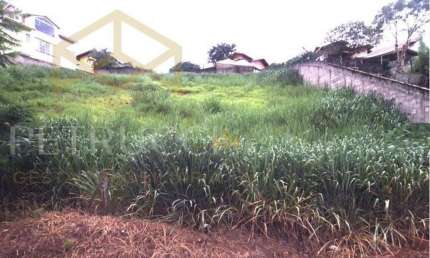 Terreno Residencial à venda, Jardim Sorirama (Sousas), Campinas - TE3719.
