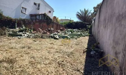 Terreno Residencial à venda, Jardim Guarani, Campinas - TE3933.
