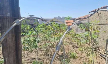 Terreno Residencial à venda, Jardim das Palmeiras, Sumaré - TE4163.