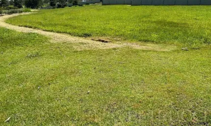 Terreno à venda, 3396 m² por r$ 2.900.000,00 - loteamento alphaville campinas - campinas/sp