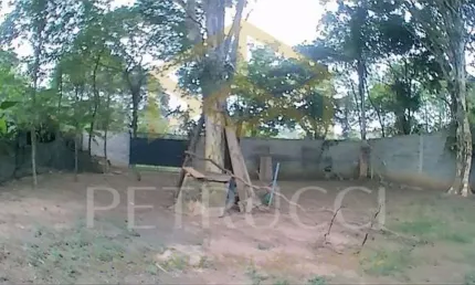 Terreno Residencial à venda, Chácara Santa Margarida, Campinas - TE2947.
