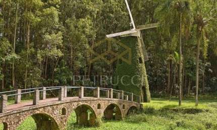 Terreno Residencial à venda, Swiss Park, Campinas - TE3103.