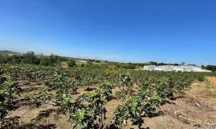 Área à venda, 45500 m² por R$ 4.880.000,00 - Jardim São Domingos - Campinas/SP