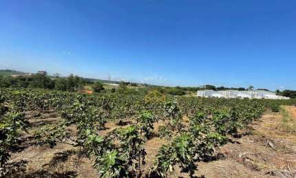 Área à venda, 45500 m² por R$ 4.880.000,00 - Jardim São Domingos - Campinas/SP