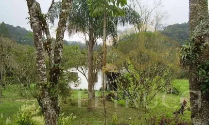 Sítio com 4 dormitórios à venda, 50000 m² por R$ 2.000.000,00 - Vila Moraes - Mogi das Cruzes/SP