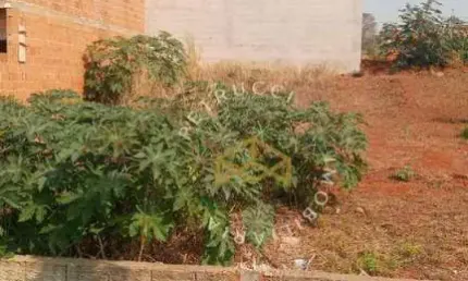 Terreno à venda em monte mor - excelente oportunidade!