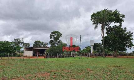 Fazenda à venda em Anhandiu próximo à Campo Grande no MS. Com 127,3 hectares, toda em pasto. Mangueira, casa sede simples, com 19,72 hectares de reser