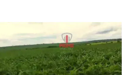 Fazenda à venda em Nova Alvorada do Sul no Mato Grosso do Sul.