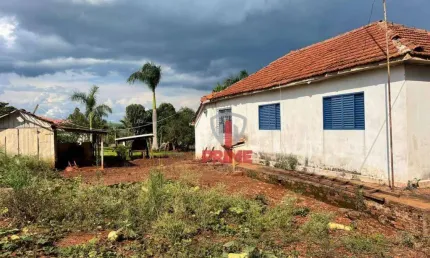 Fazenda à venda em Londrina no Paraná. Com 85 alqueires sendo 60 alqueire de plantio, 2 casas para trabalho, 2 poços semi artesiano- ideal para uso no