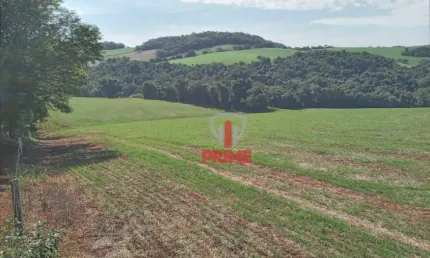 Sítio à venda em São Luiz região de Londrina. Com 10 alqueires, sendo 7 alqueires de plantio e 3 alqueires de mata. Entrada + 6 meses.