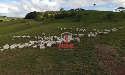 Fazenda à venda em Uraí no Paraná.  Hoje na pecuária, com 15 alqueires na lavoura, casa de alvenaria simples, mangueira, bem localizada, apenas 3 km d