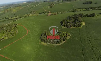 Sítio à venda em Assaí no Paraná. Com 29,85 alqueires, plantado 23 alqueires, topografia plana. Entrada de 50% + 4 parcelas anuais.