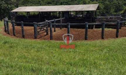 Fazenda à venda em Luizuana no Paraná. Próximo de Campo Mourão com 47 alqueires plantado, abre 20 a 25 alqueires, solo roxo, plantado, hoje com manejo