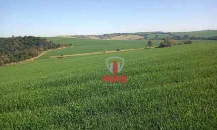 Fazenda à venda em Nova Fátima no Paraná. Com 55 alqueires, sendo 50 alqueires de plantio, terra roxa.   Entrada de 50% + 2 pagamentos.
