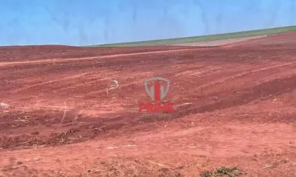 Sítio à venda em Bela Vista do Paraíso no Paraná. Com 22 alqueires, 100% de aproveitamento, plantado os 22 alqueires. Entrada + 1 parcela.