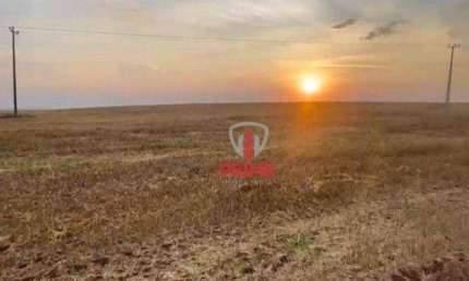 Sitio à venda em Mauá da Serra no Paraná. Na beira da pista. Localização excelente, 100%  aproveitável. Reserva legal averbada na mesma bacia hidrogra