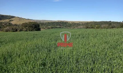 Fazenda à venda em Nova America da Colina no Paraná. Com 50 alqueires sendo 10 alqueires plantado soja e 40 alqueires de pasto.  Casa simples, manguei