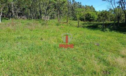 Fazenda à venda em Nova laranjeiras no Paraná. Com 43,5 alqueires   15 alqueires para plantio. Cabeceira com a rodovia, 90 km de Cascavel sentido Curi