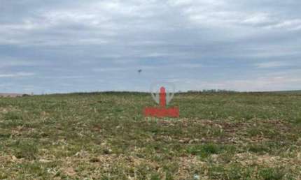 Fazenda à venda em Bentopolis no Paraná. Com 84 alqueires sendo 55 alqueires que já foi plantio, 18 alqueires de pasto em uso, restante a reserva.  Ac