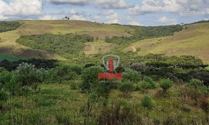 Fazenda à venda em Castro no Paraná. Com 169 alqueires sendo 90 alqueires pasto, 12 alqueires é de lavoura, mangueira , 2 casas, boa de água.  Fica a