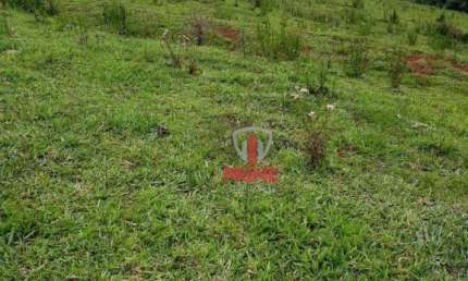 Sitio à venda em Cândido de Abreu no Paraná.   - 10 alqueires.